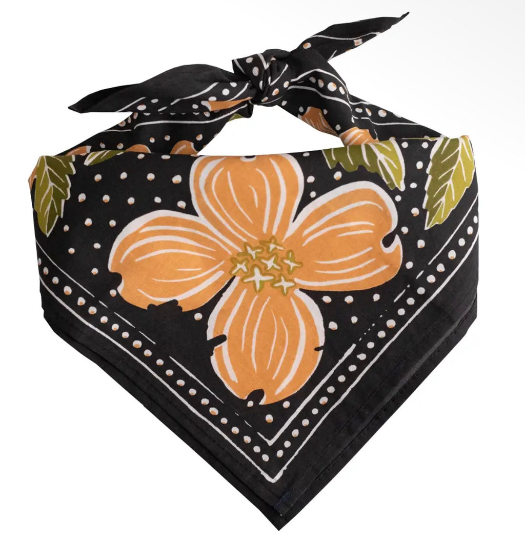 Bandanna
