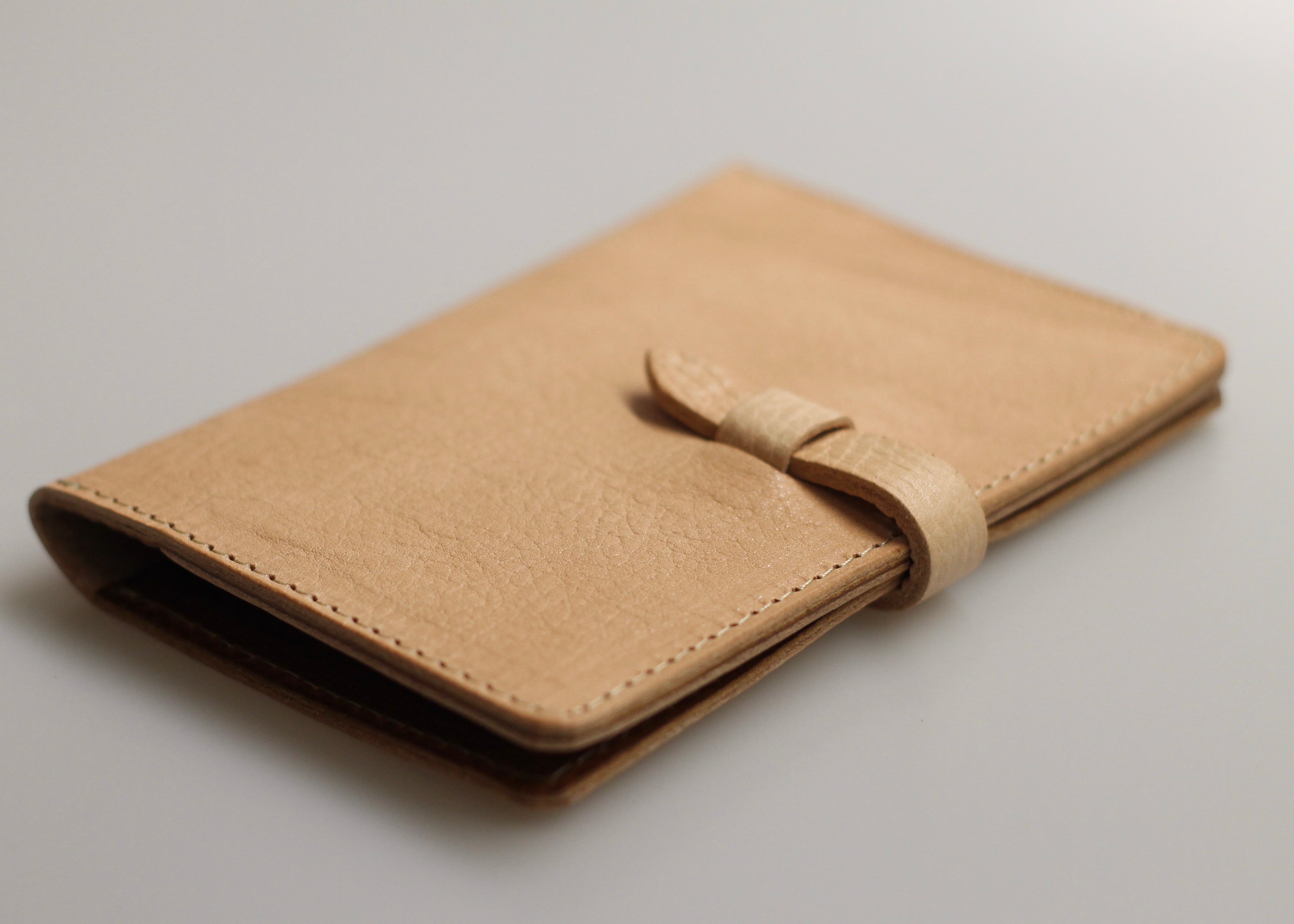 The Passport Cover